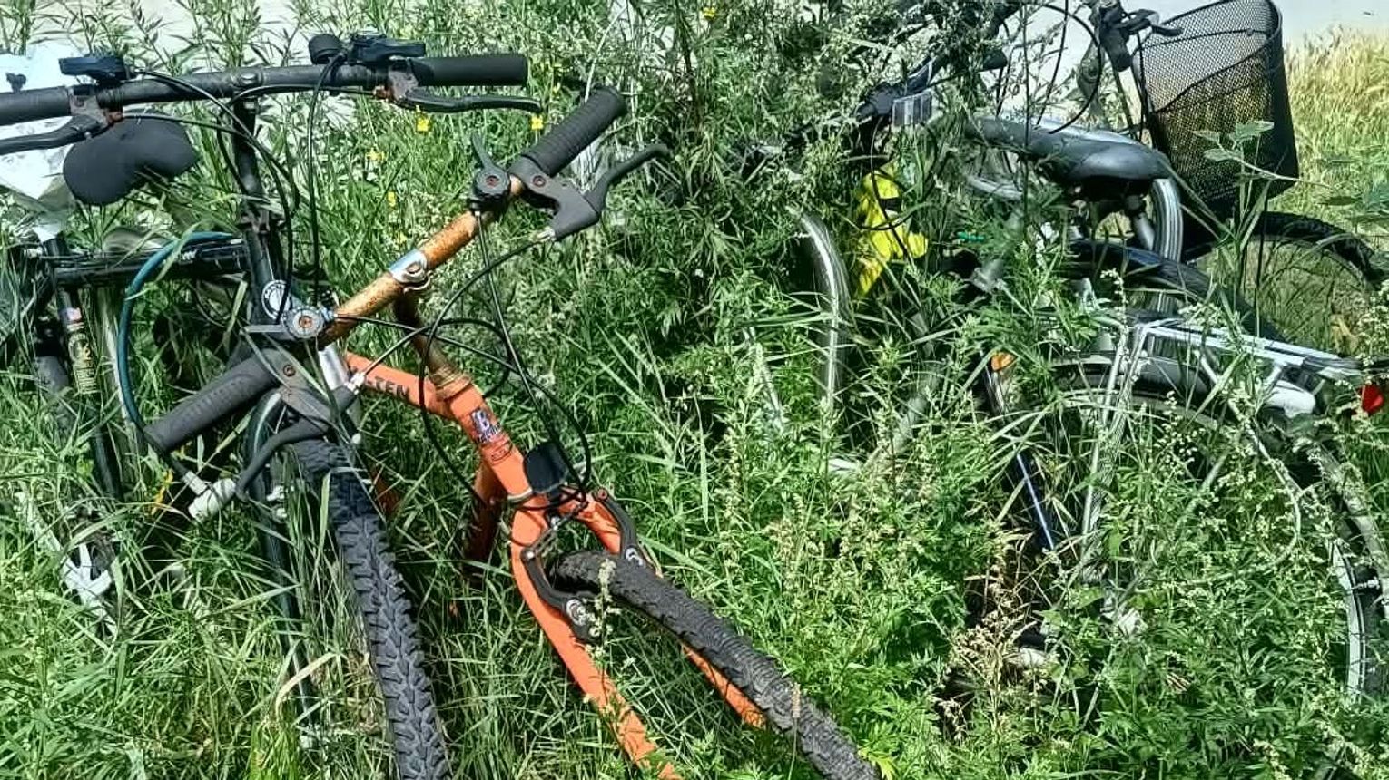Gdańsk. Zardzewiałe rowery-sieroty od lat blokują stojaki, a spółdzielnia rozkłada ręce