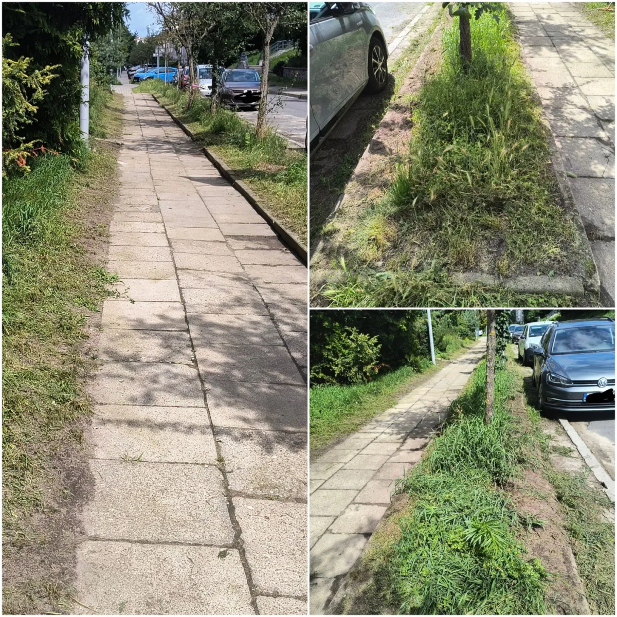 Gdynia - nowa moda na koszenie trawników