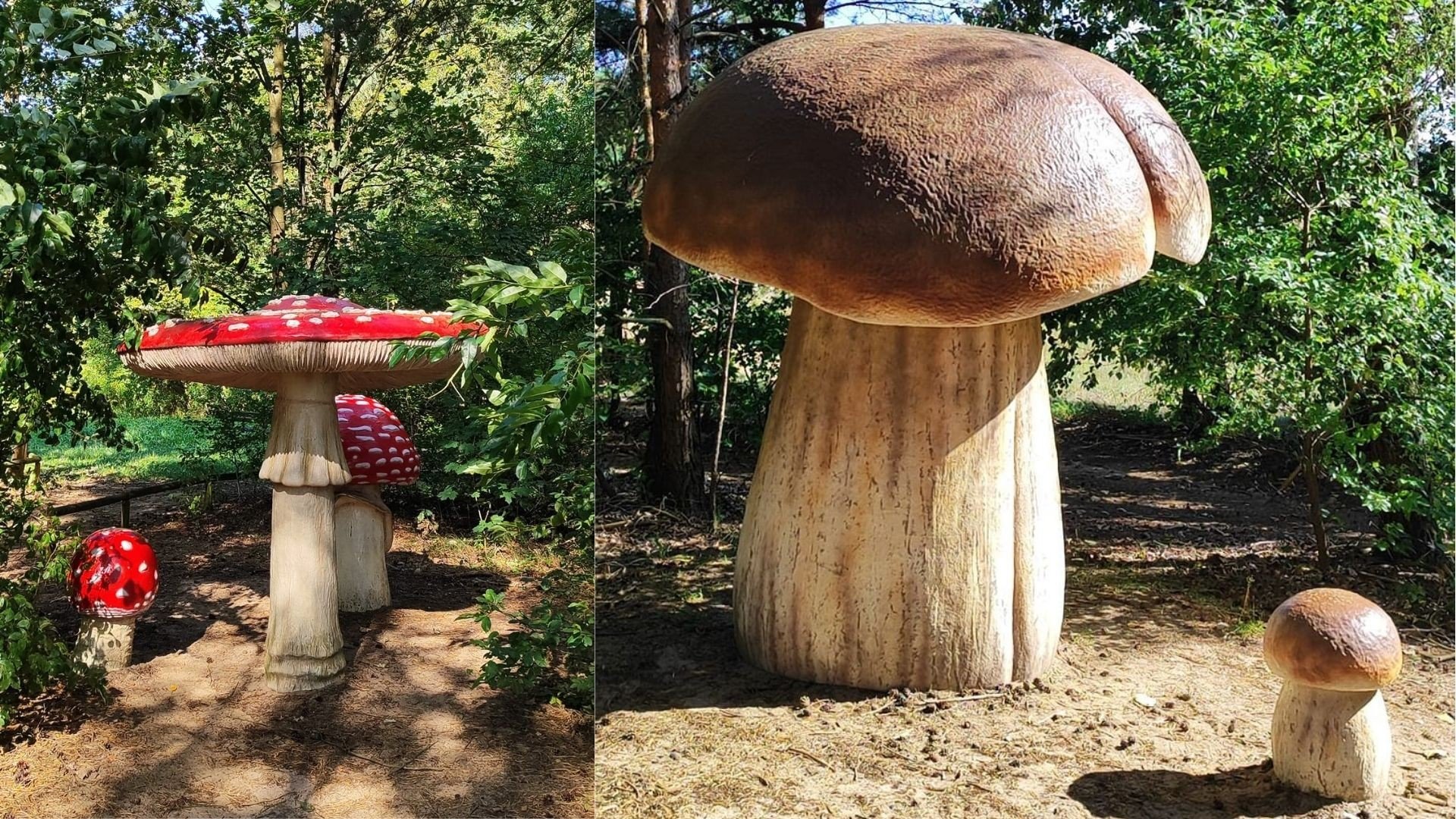 Gigantyczne grzyby czekają na ciebie w Parku Grzybowym w Piłce
