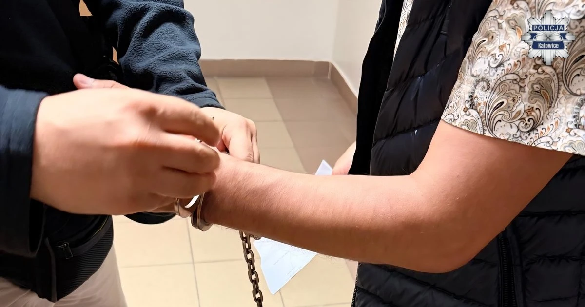Gruzini zatrzymani na gorącym uczynku! Włamali się do aut metodą „na walizkę”