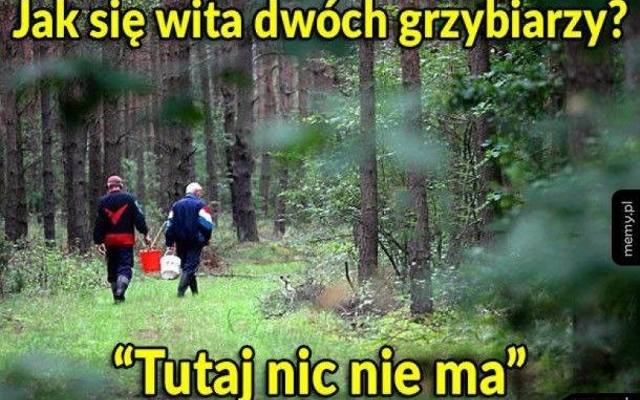 Grzyby 2026. Tak witają się grzybiarze! Zanim pójdziesz do lasu, koniecznie zobacz te MEMY