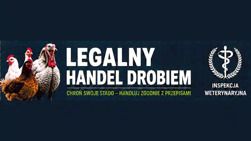 Handel żywym drobiem: Ostrzeżenia dla sprzedawców.
