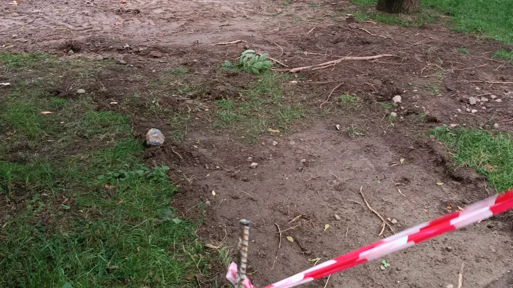 Uszkodzenie drzew na osiedlu Dywizjonu 303 podczas prowadzonych prac