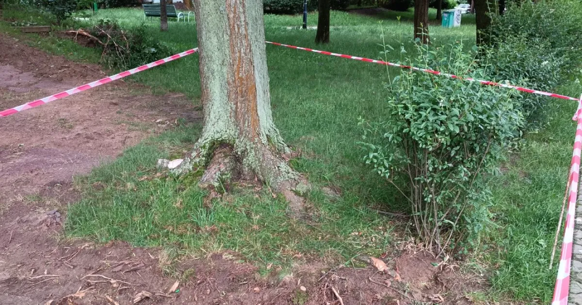 Inwestycja poróżniła krakowskie osiedle. Poszło o pośpiech
