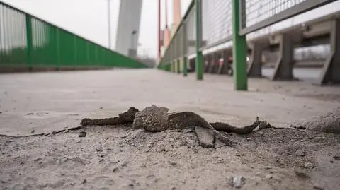 Duży remont na moście Siekierkowskim. Za 20 milionów złotych
