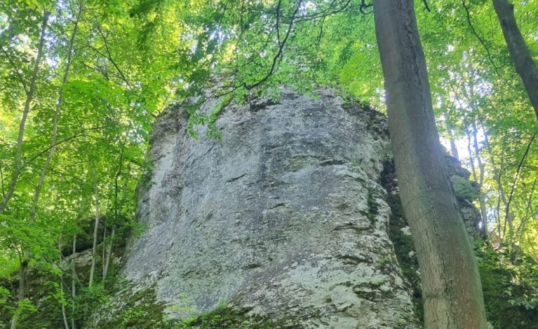 Jurajskie skały pod lepszą ochroną. Zmieniono przebieg dróg wspinaczkowych