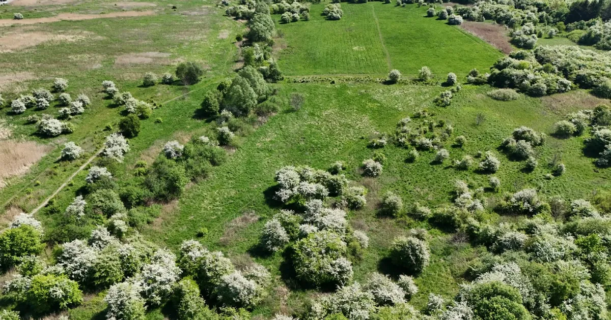 „Każdy skrawek zieleni jest na wagę złota”. Walczą o dwie działki pod duży park
