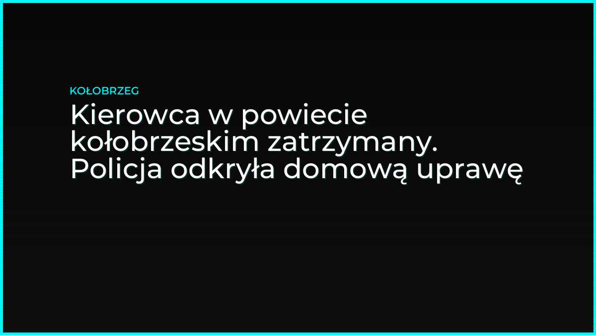 Kierowca w powiecie kołobrzeskim zatrzymany. Policja odkryła domową uprawę