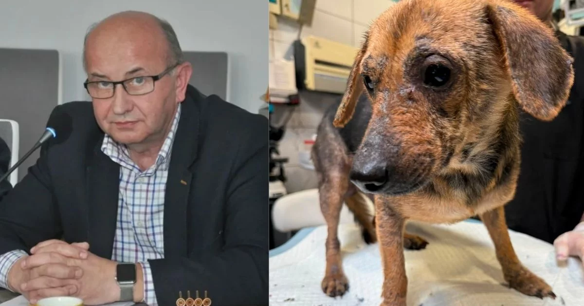 Kolejne zwierzęta zabrane z posesji w Jagodniku. Koszty pomocy mogą przekroczyć 200 tys. zł