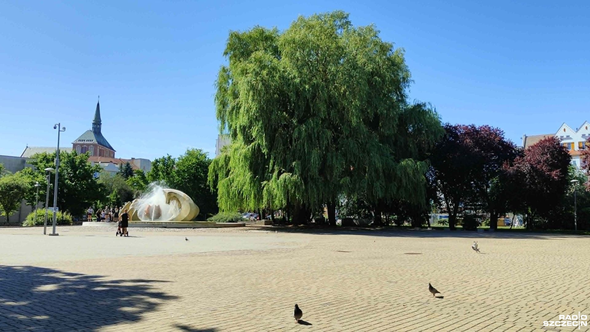 Kołobrzeg odbetonuje plac w centrum. Zazieleni się Skwer Pionierów
