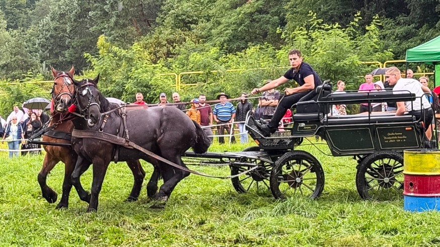 Konie nad Radunią. Wyścigi kuczerów w Goręczynie
