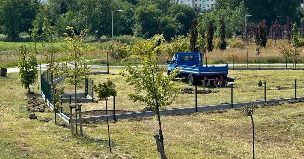 Koniec formalności, ruszyła budowa psiego wybiegu w Płońsku