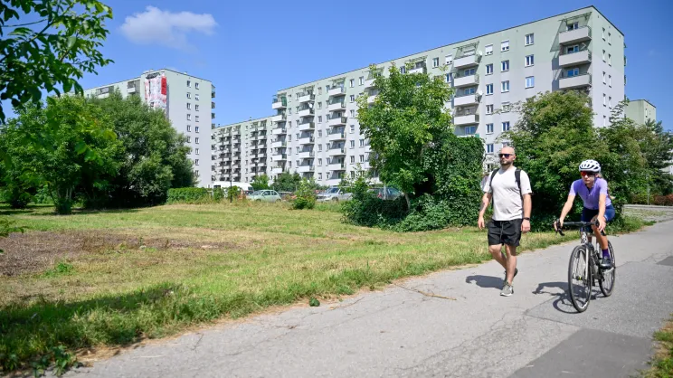 Teren zielony przy ul. Fieldorfa-Nila