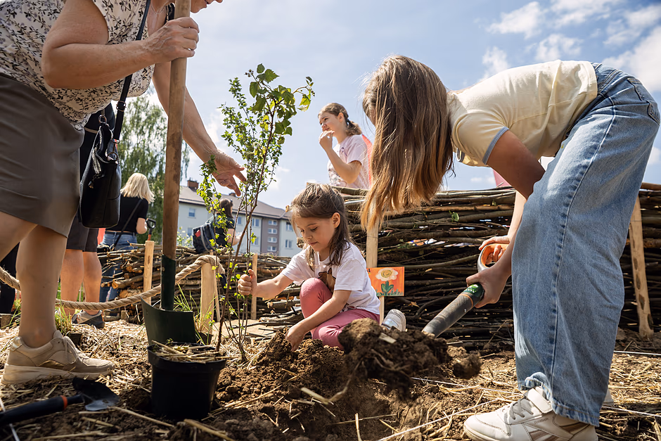 Konkurs dla NGO-sów na strefy zielone przy przedszkolach