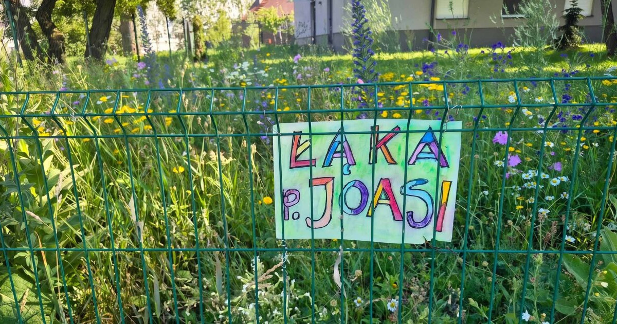 "Łąka Pani Joasi" walczy o Nagrodę Bioróżnorodności