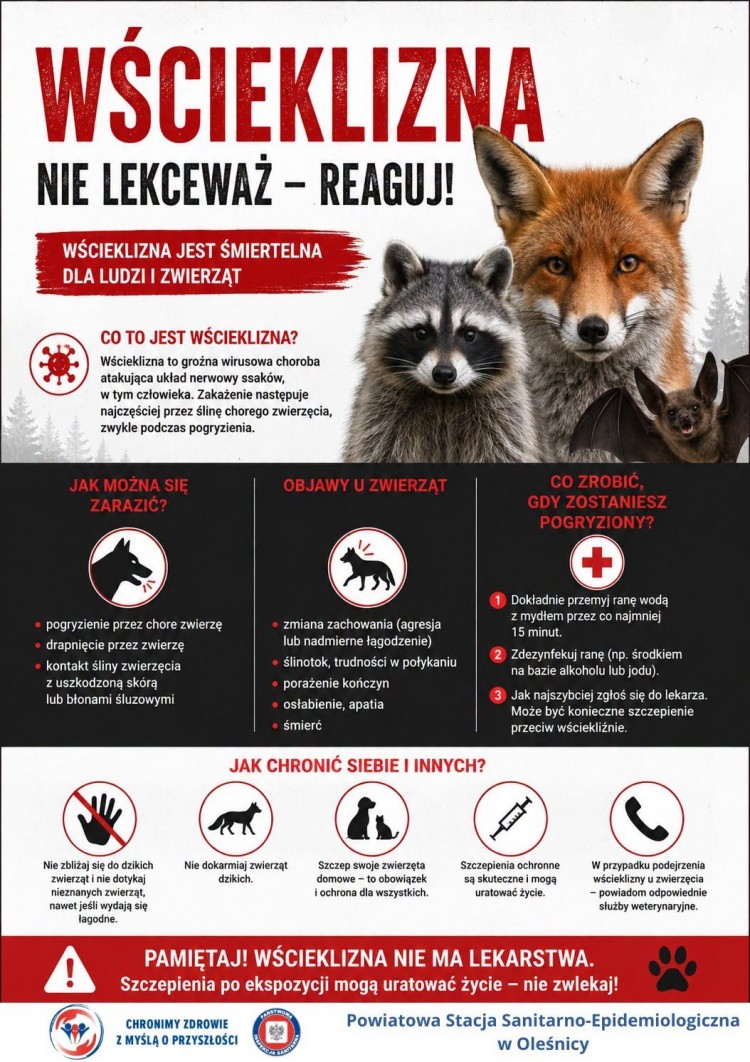 Lato sprzyja spacerom. Pamiętaj o zagrożeniu wścieklizną!