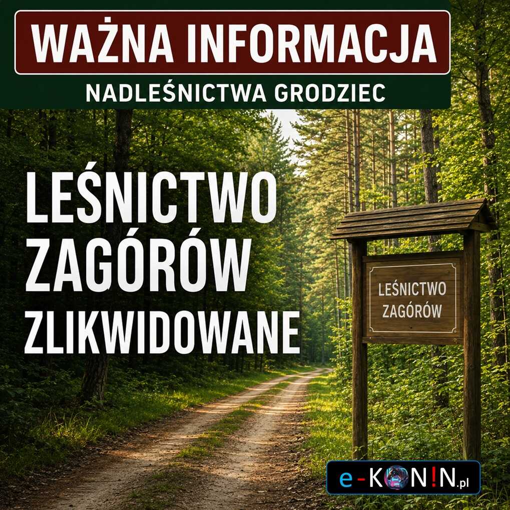 Leśnictwo Zagórów zlikwidowane. Grunty podzielono między dwa leśnictwa