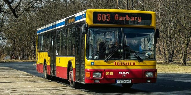 Letni rozkład jazdy i zielony autobus