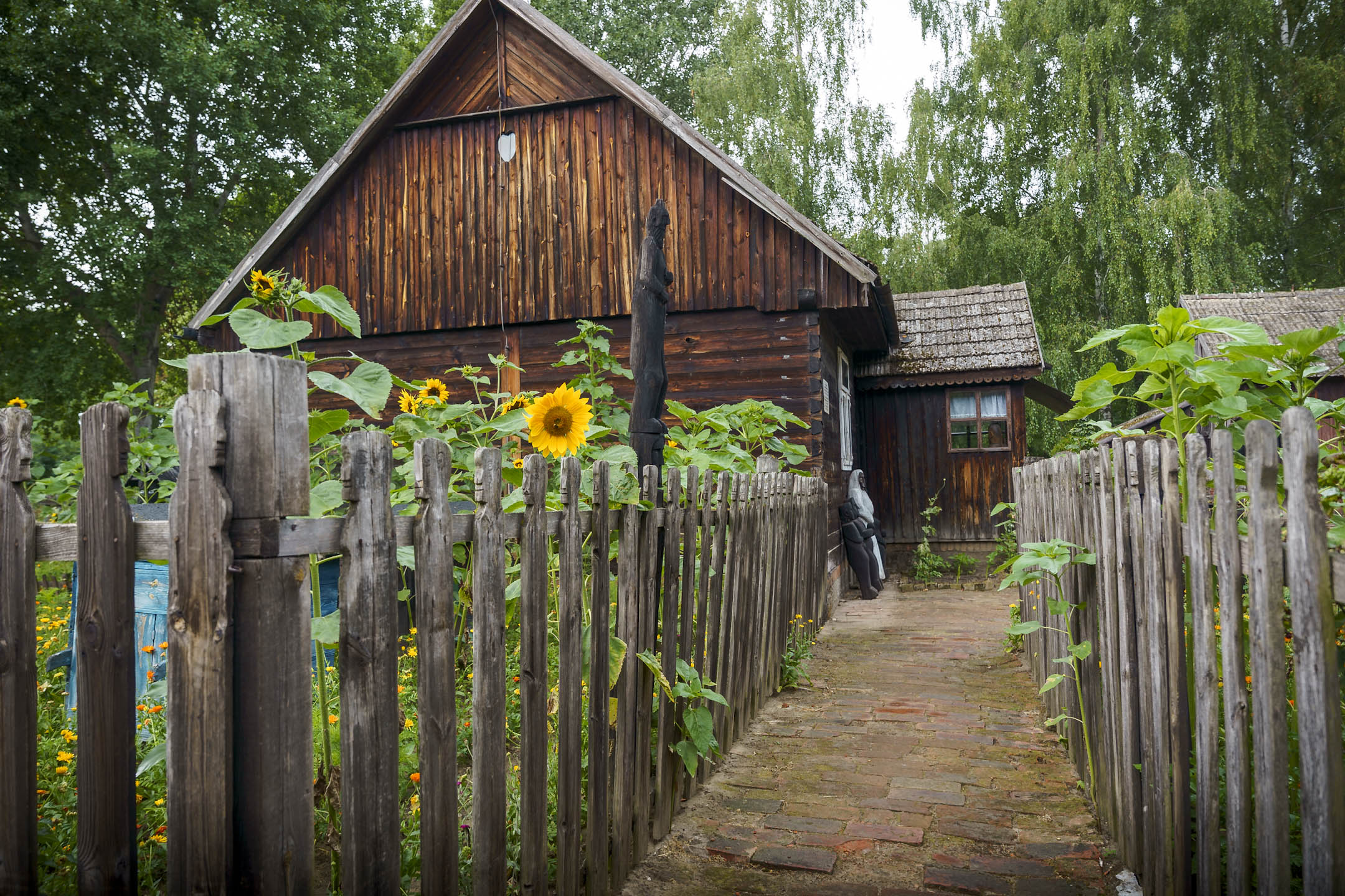 dsc00683.jpg