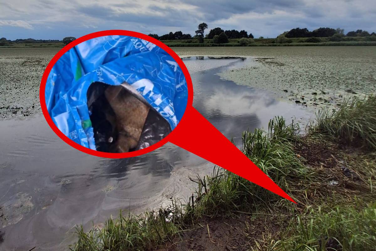 Łowisko Krajskie oczyszczone z martwych ryb. Teraz odpadki są w workach i gniją…