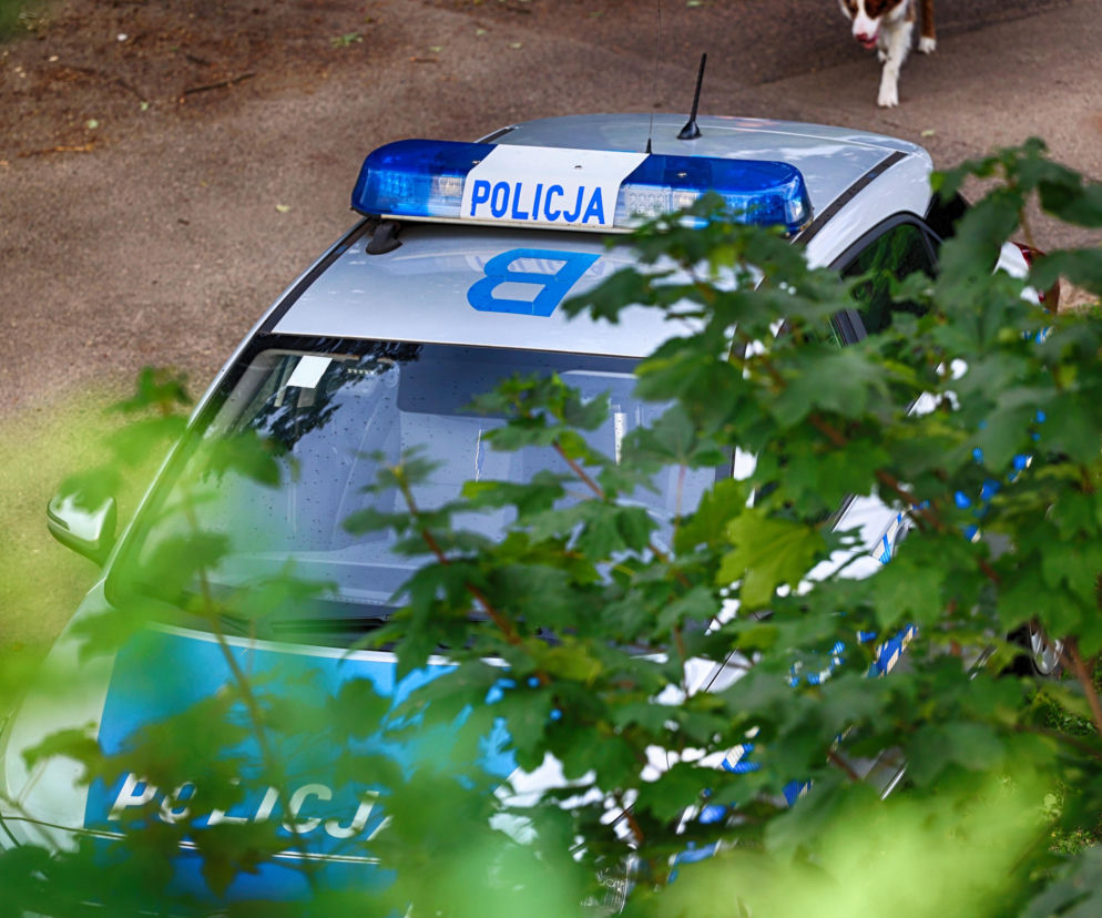 Radiowóz policji widziany z góry przez liście drzew. O działaniach służb w Kielcach przeczytasz na Eska Kielce.