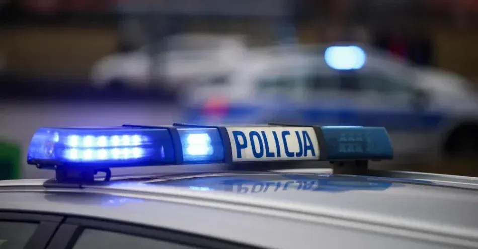 Mazowieckie: szczątki ludzkie znaleziono w zaroślach na peryferiach Ciechanowa