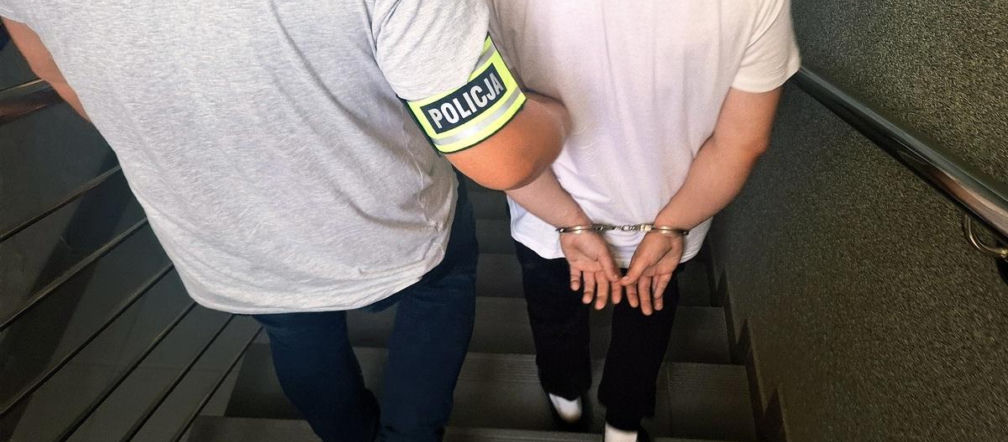 Miał wykorzystywać seksualnie własnego psa. Policja zabezpieczyła nagrania