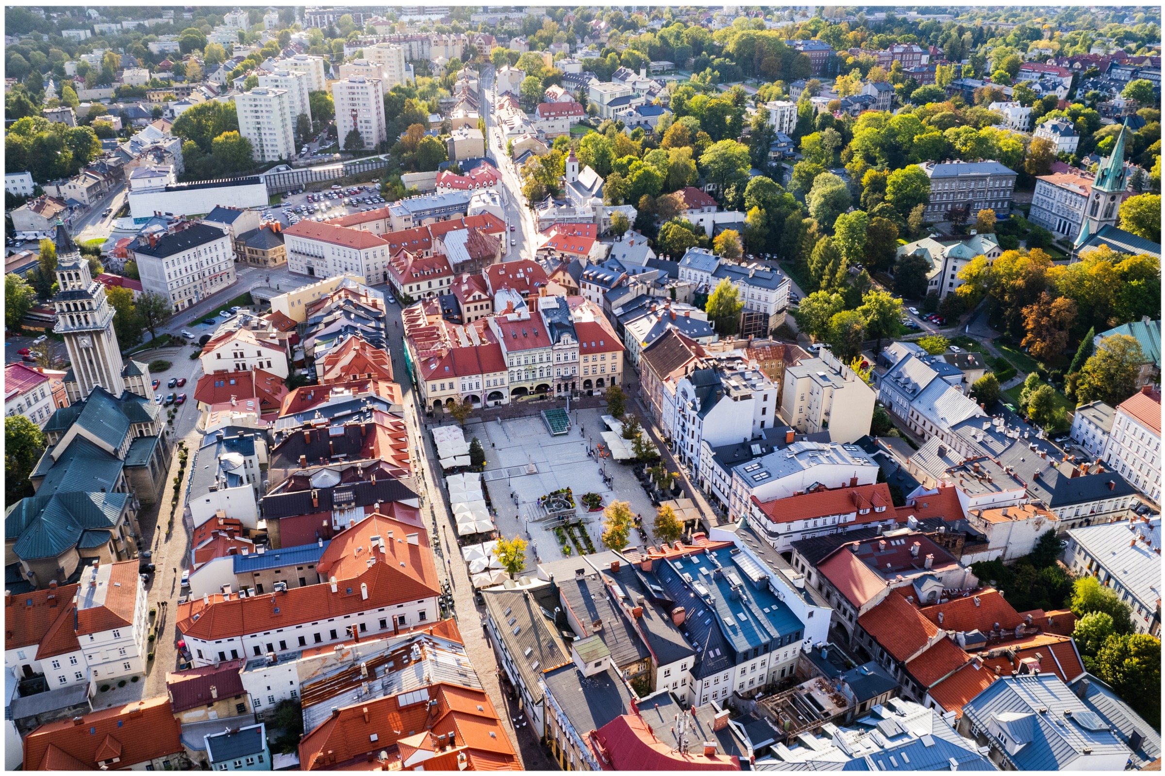 Miasto szykuje zieloną rewolucję przy szkołach. Ogłoszono przetarg na inwestycje