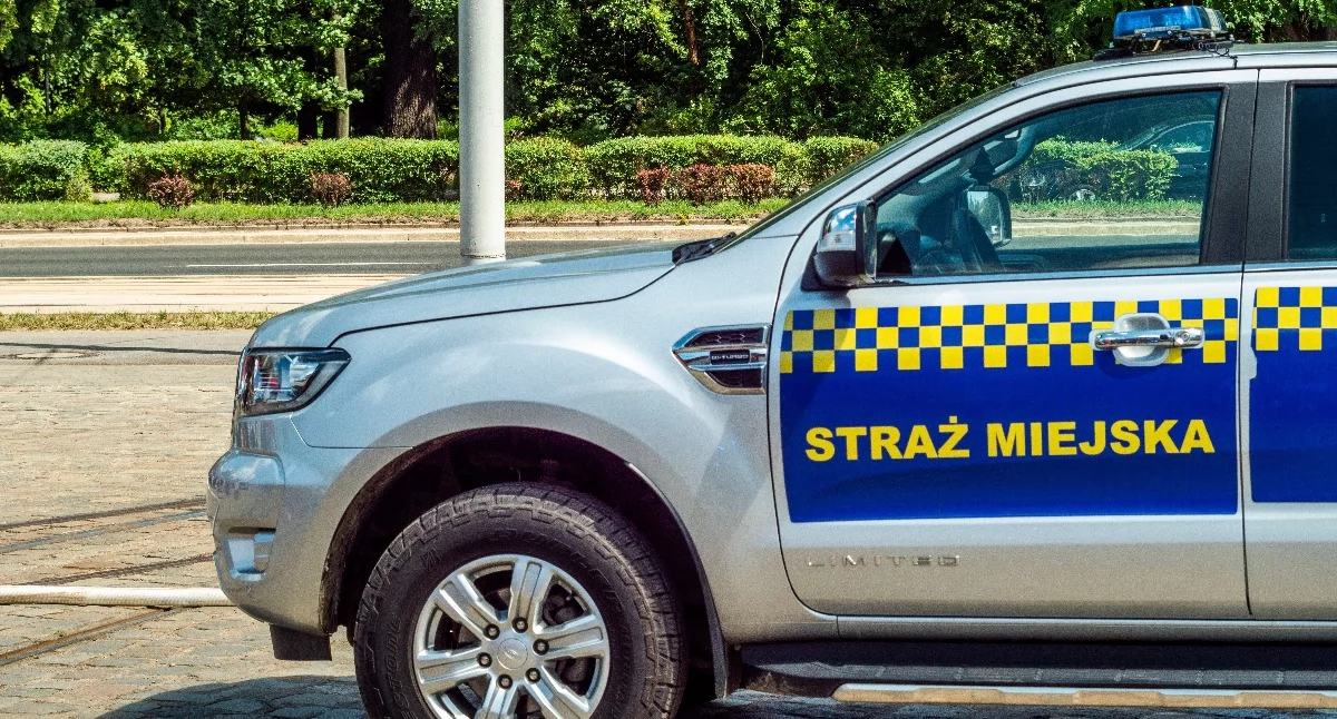 Mieszkańcy chcą likwidacji Straży Miejskiej w Świeciu. Wyniki sondy