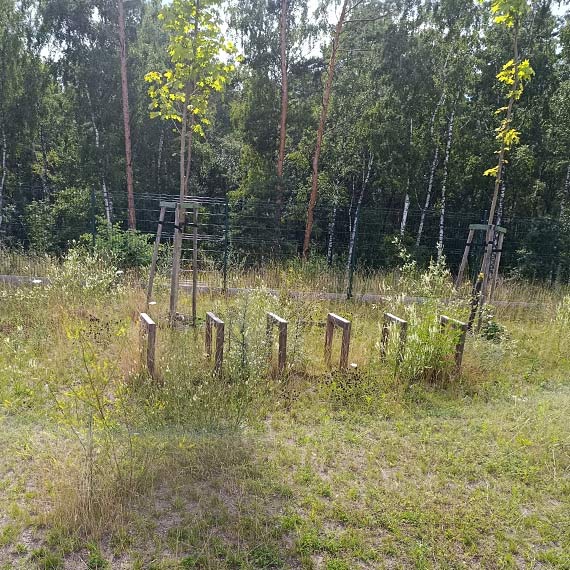 Mieszkańcy pokazują, jak wygląda górka rekreacyjna przy ul. Karsiborskiej