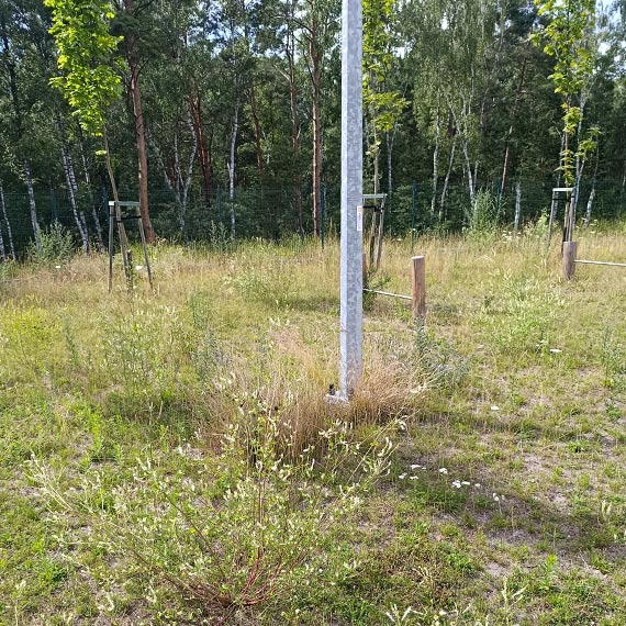 Mieszkańcy pokazują, jak wygląda górka rekreacyjna przy ul. Karsiborskiej