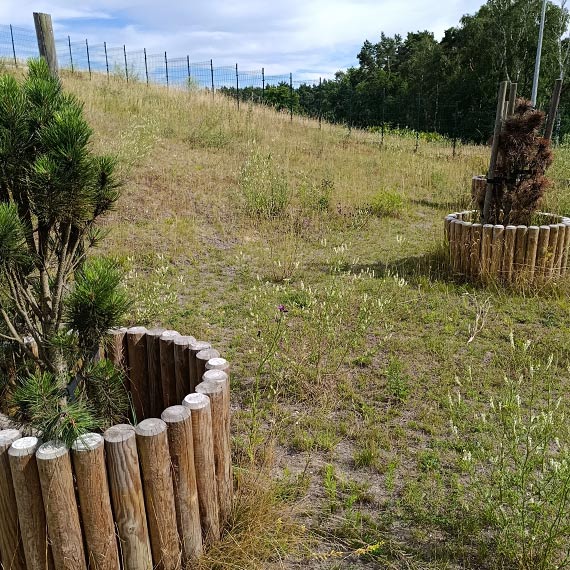 Mieszkańcy pokazują, jak wygląda górka rekreacyjna przy ul. Karsiborskiej
