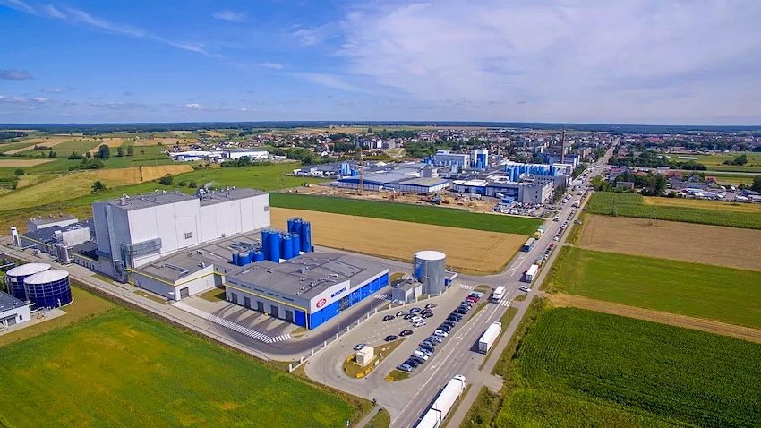 Mlekovita: wyzwania rynkowe a stabilny rozwój
