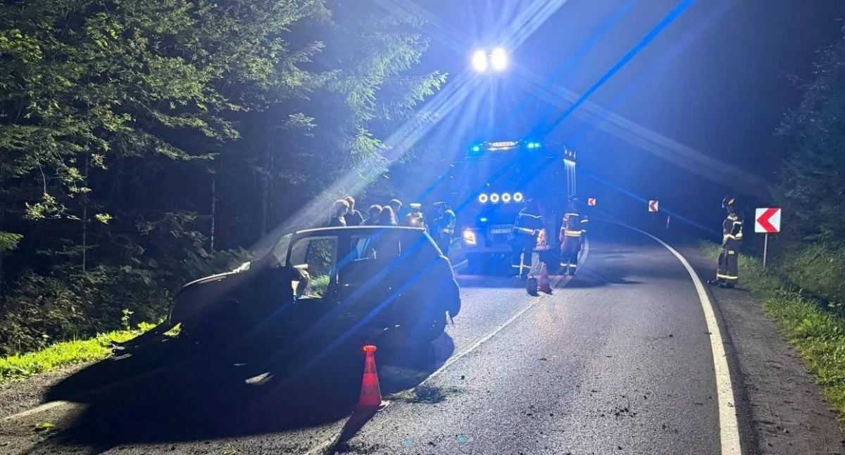 Młody kierowca rozbił auto w Kościelisku. Policja wskazuje przyczynę