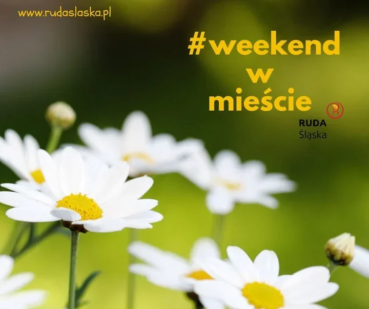 Muzyka i joga. Weekend w Rudzie Śląskiej zapowiada się gęsto