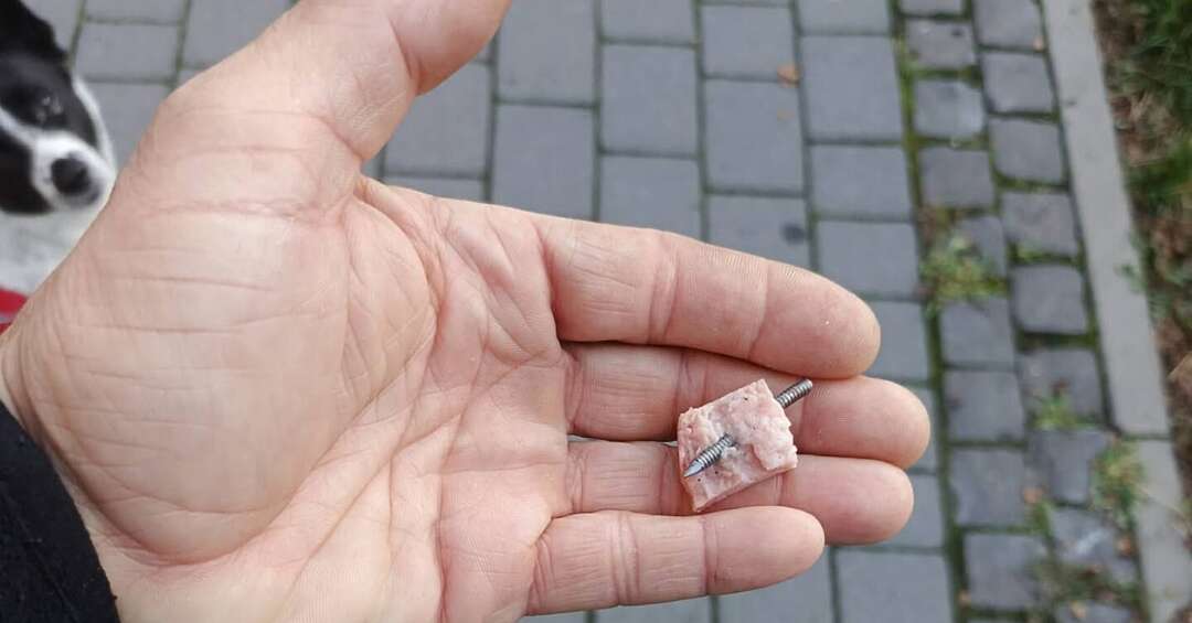 Na Halembie ktoś rozrzuca kiełbasę z gwoździami. Uważajcie!