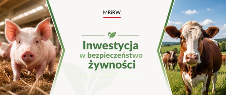 Na lata 2023-2027 pojedyncza organizacja producentów będzie mogła uzyskać nawet 500 tys. euro w ciągu 3 lat, na realizację zaplanowanych działań i inwestycji - poinformowało Ministerstwo Rolnictwa i Rozwoju Wsi.