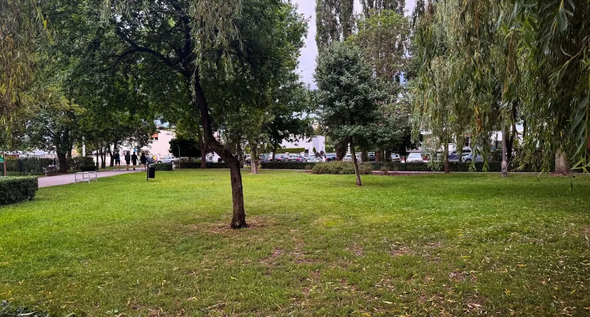 Na osiedlu Piastowskim powstanie kynopark Psiastowskie!