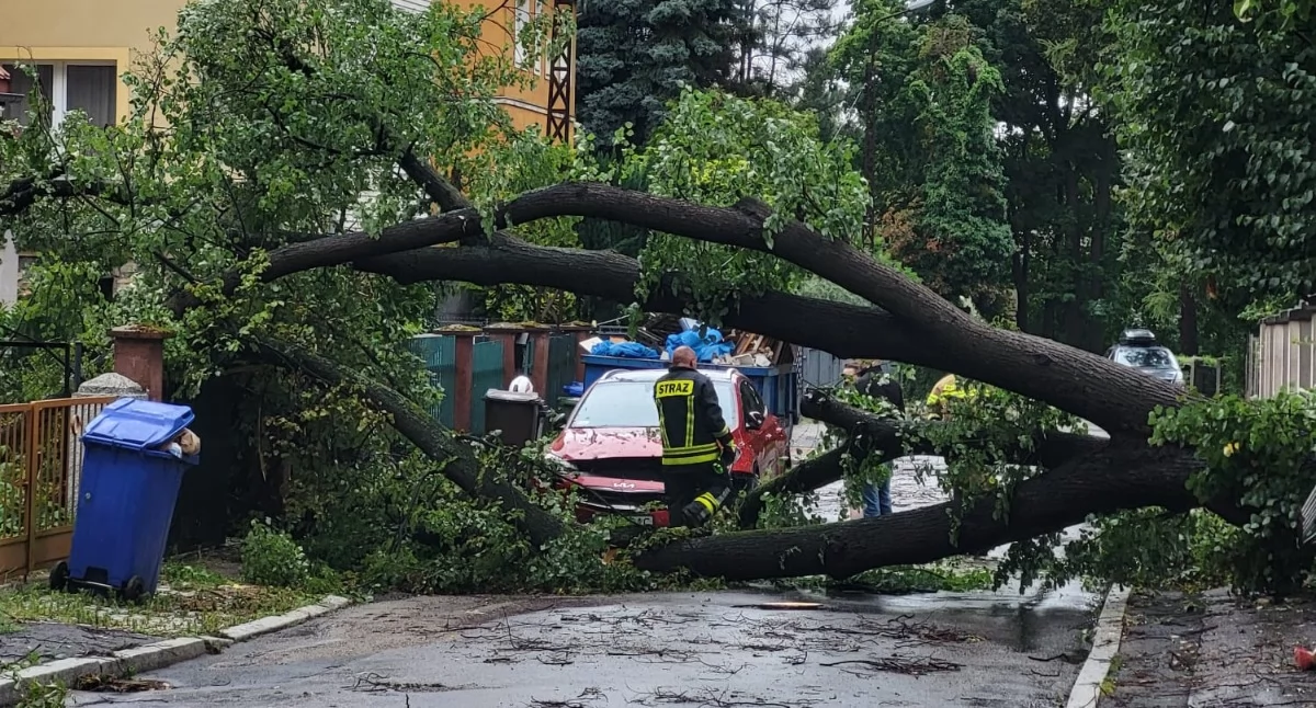 Nawałnica spowodowała ogromne straty. Zoba…