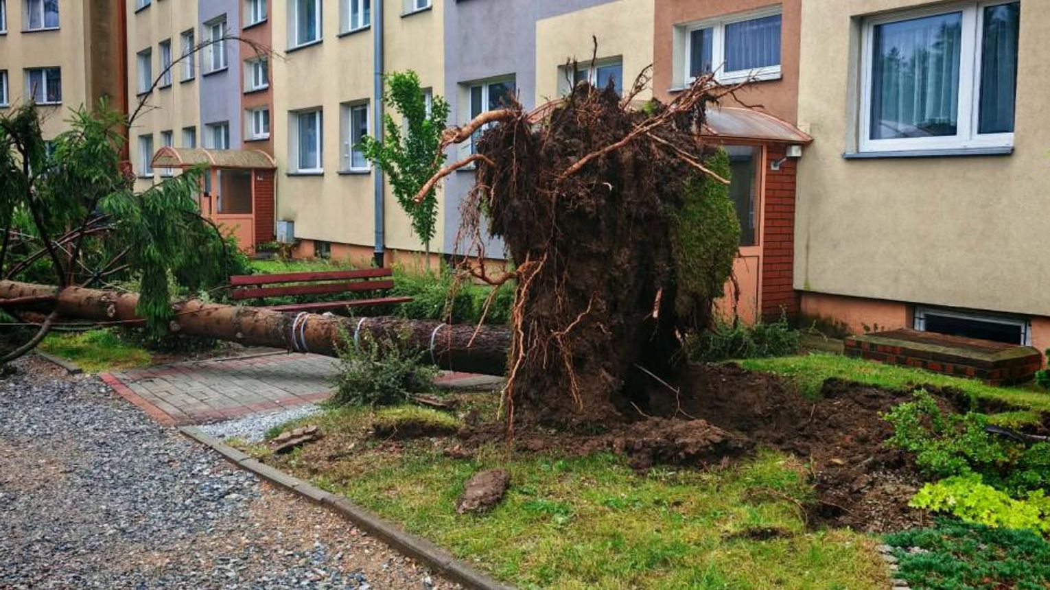 Nawałnice przetoczyły się przez Dolny Śląsk. Strażacy interweniowali 239 razy