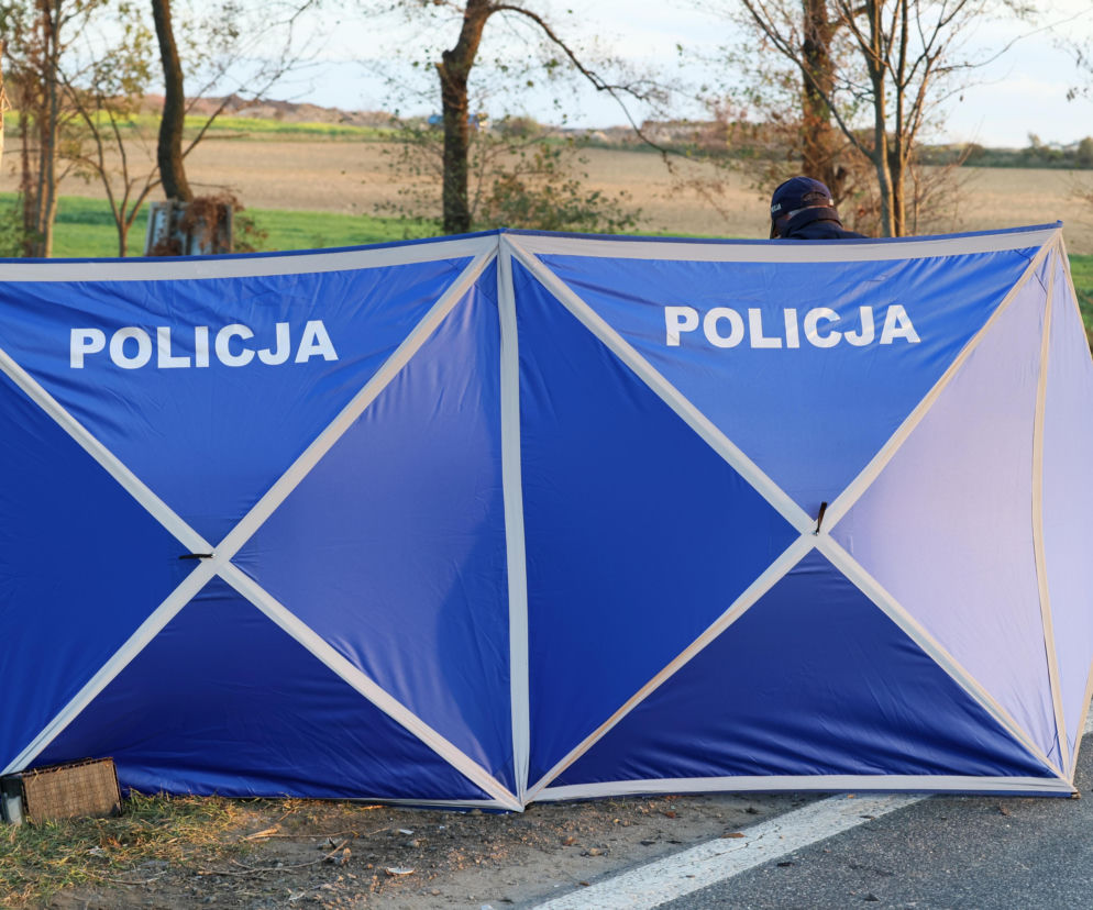 Niebieski parawan policji na miejscu wypadku na drodze. O tragedii na DK58 przeczytasz na Eska Olsztyn.
