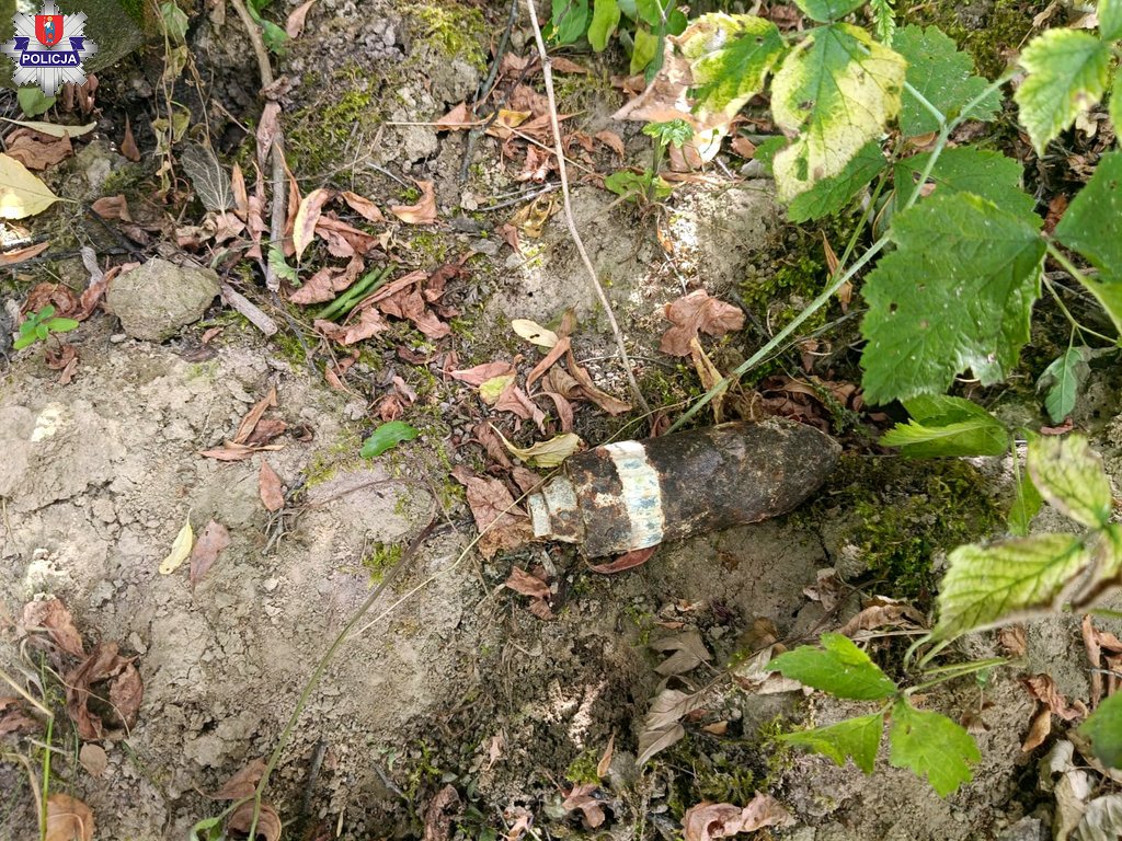 Niebezpieczne znaleziska w powiecie zamojskim. Saperzy zabezpieczyli niewybuchy z czasów II wojny światowej