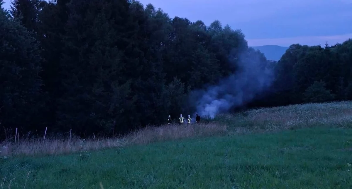 Nielegalne wysypisko w Lipowej w ogniu strażacy ugasili pożar dzikich śmieci