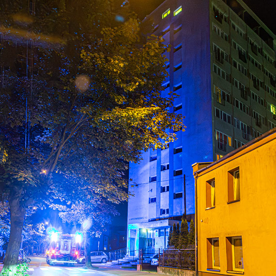 Nietoperz sparaliżował mieszkańców wieżowca. Strażacy ruszyli z pomocą w środku nocy