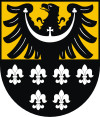 "Noel-Nowakowski Henryk "