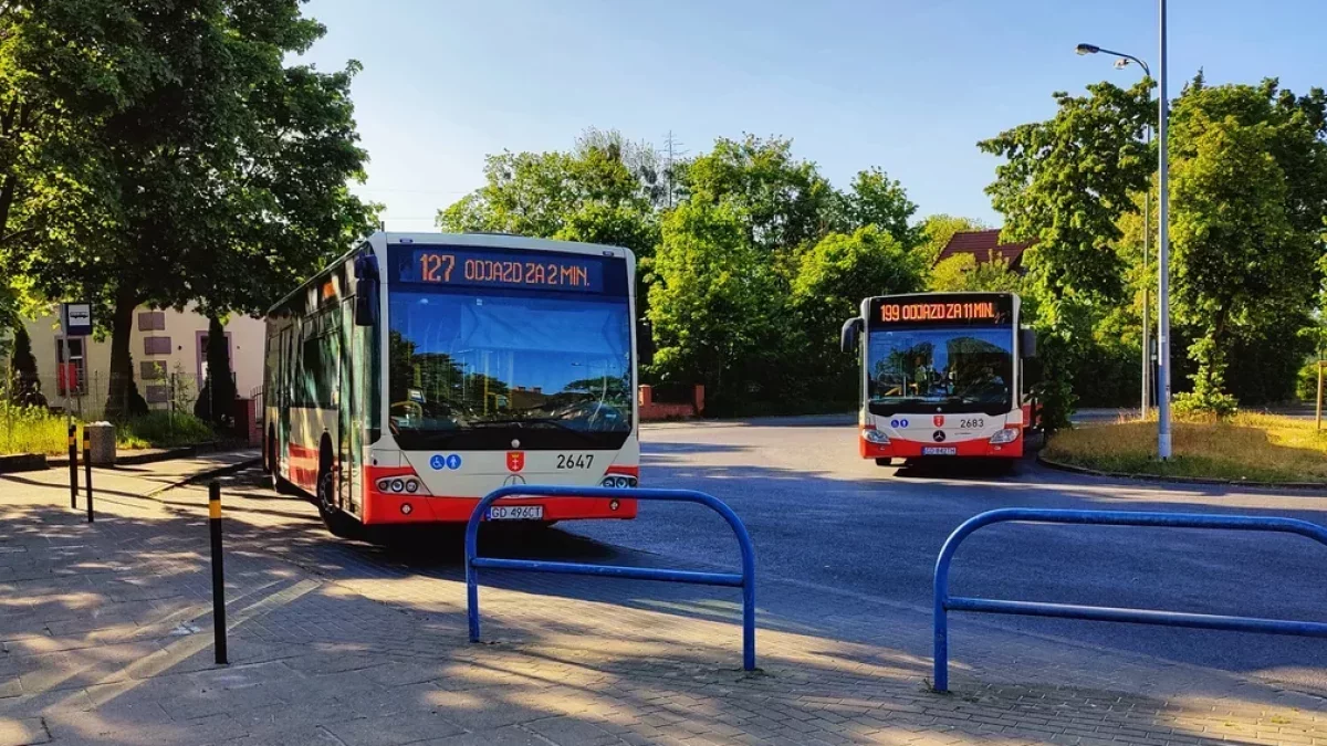 Nowa linia autobusowa budzi emocje. „Ile mam z wózkami wejdzie do minibusa?”