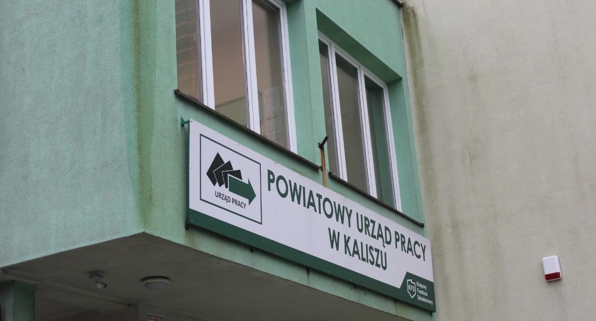 NOWE oferty pracy z PUP w Kaliszu