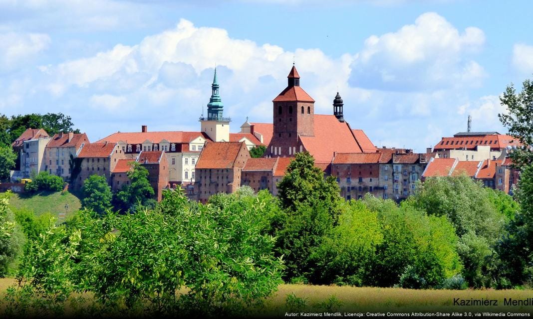 Nowe zasady dotyczące afrykańskiego pomoru świń w Grudziądzu