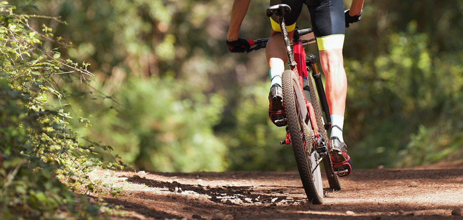 NOWE5 pomysłów na rowerową wyprawę w okolicy Suwałk