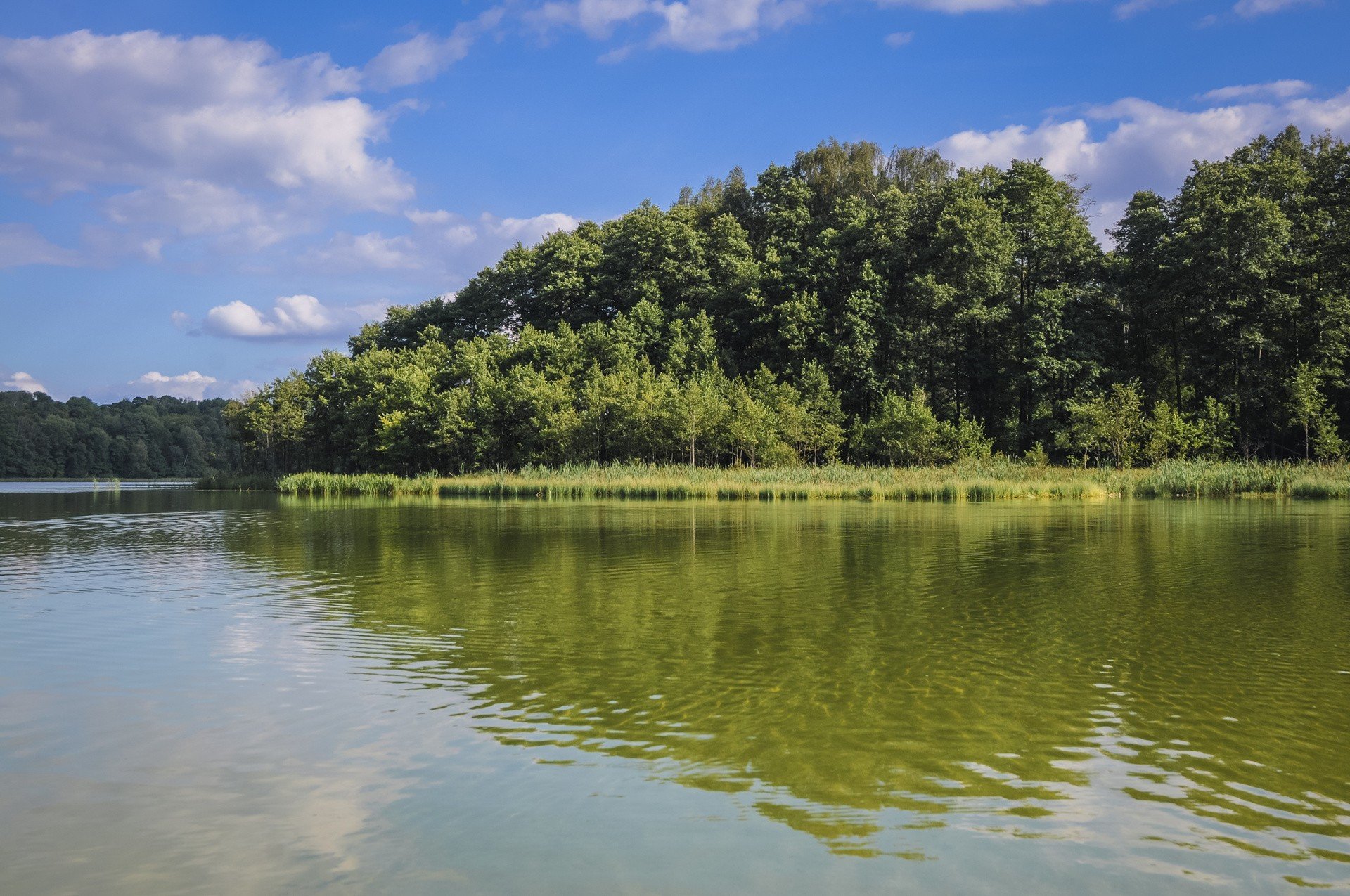 NOWECzynne kąpieliska w Stalowej Woli